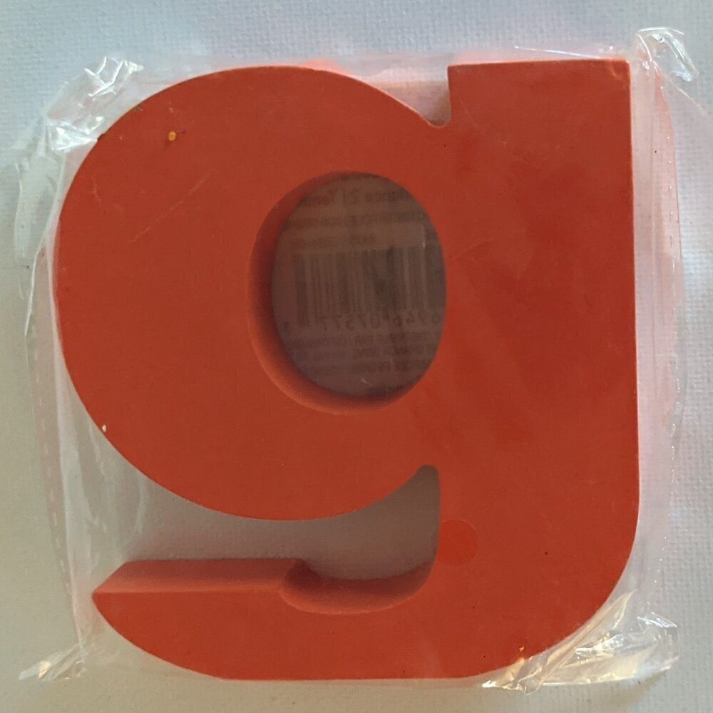 NWT Orange Letter 'g' Wooden Sign Lowercase Geo Pop Michaels Home Wall Decor NEW
